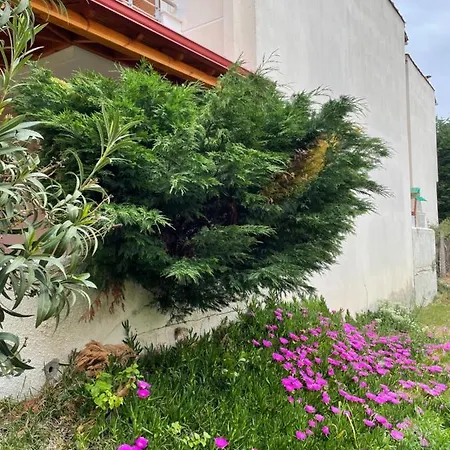 La Casa Di Alexandros Apartamento *