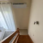 La Casa Di Alexandros Nikiti (Sithonia)